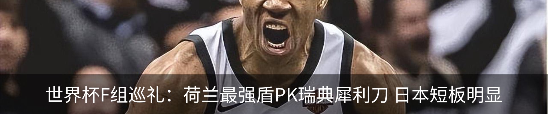 资讯动态