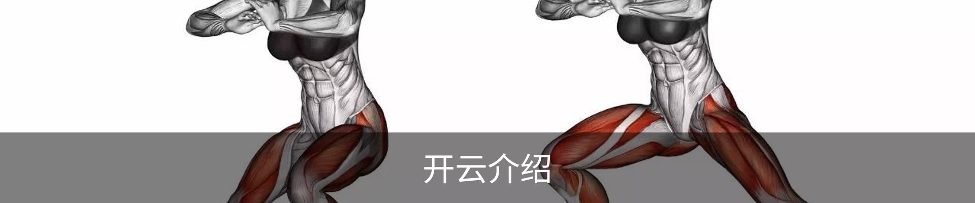 开云介绍