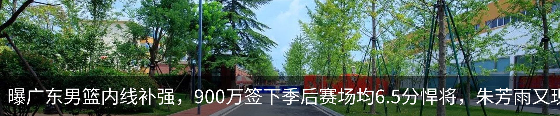 资讯动态