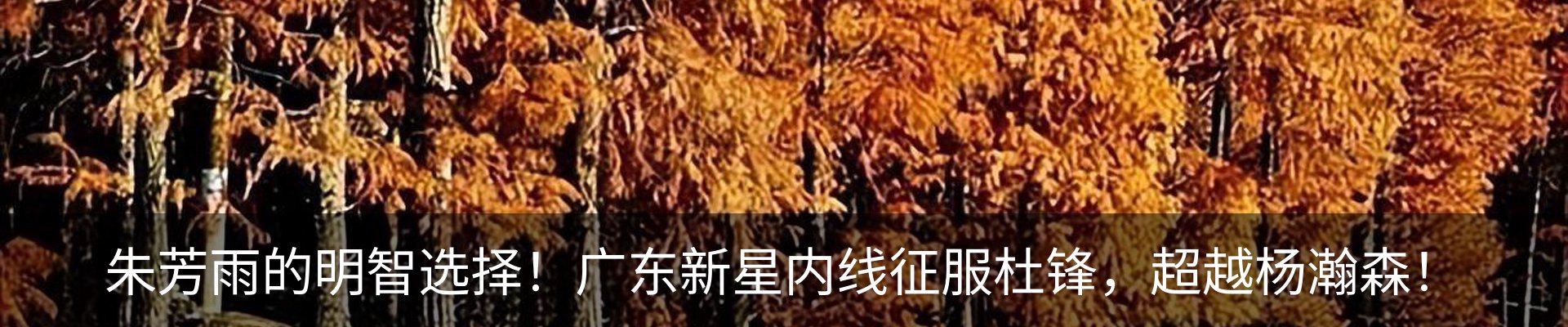 资讯动态