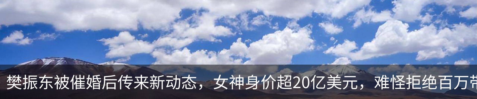 资讯动态