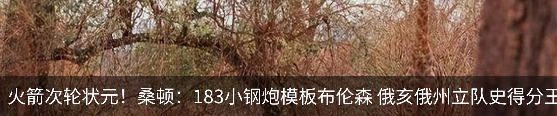 资讯动态