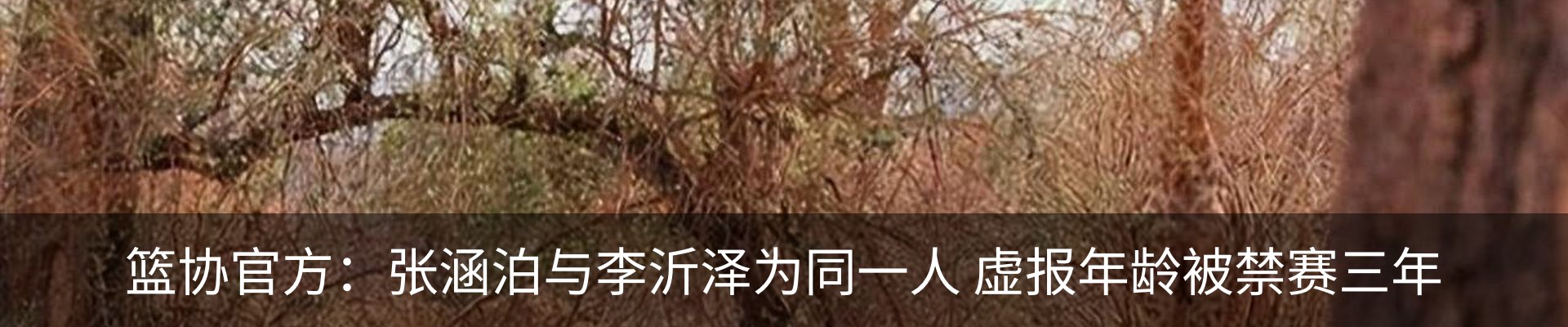 资讯动态