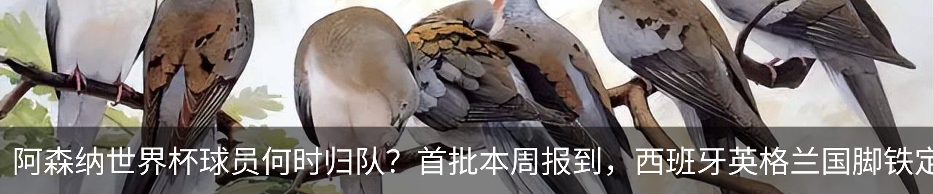 资讯动态